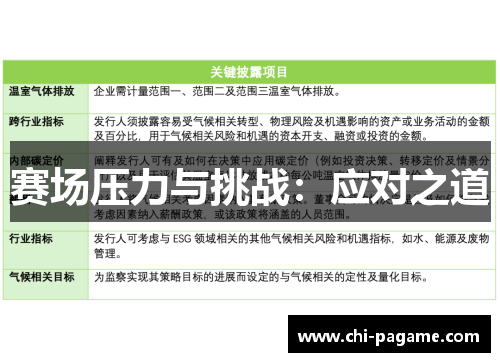赛场压力与挑战：应对之道