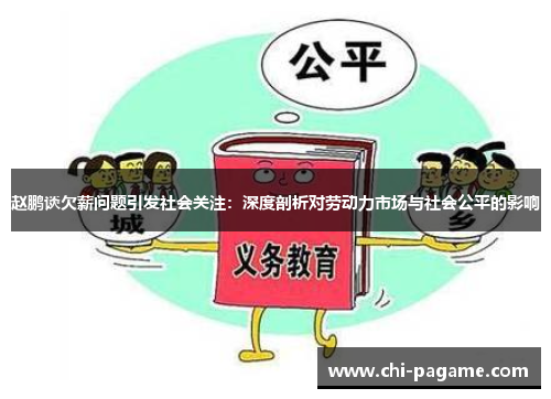 赵鹏谈欠薪问题引发社会关注：深度剖析对劳动力市场与社会公平的影响