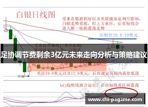 足协调节费剩余3亿元未来走向分析与策略建议