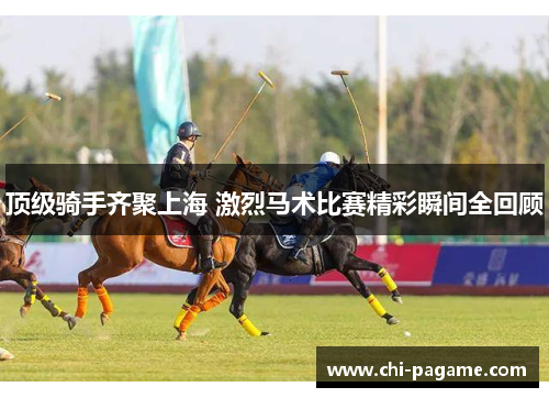 顶级骑手齐聚上海 激烈马术比赛精彩瞬间全回顾